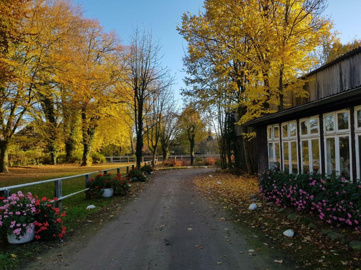 Große, helle Ferienwohnung mit 2 Balkonen auf dem Bauernhof in der Lüneburger Heide Oetzen Exterior foto